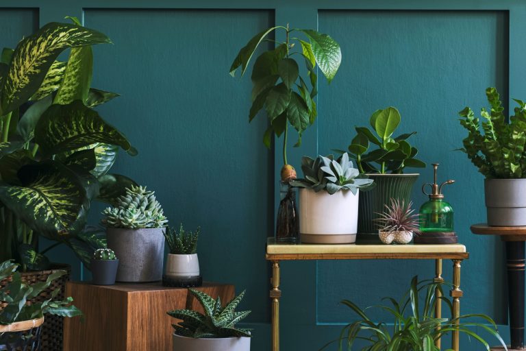 Ecommerce gardening brand search marketing results – Crocus x Qoob