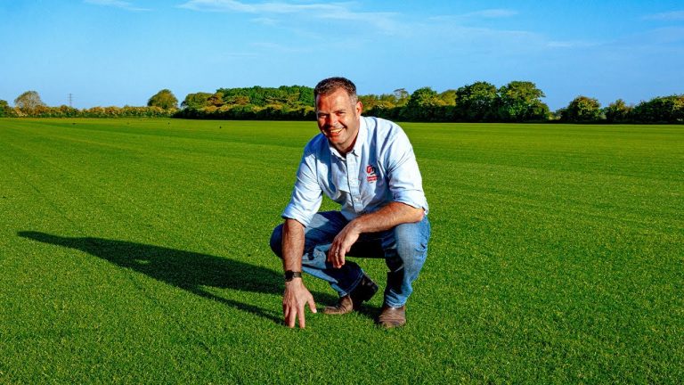 A grower crouching on a field of cultivated turf