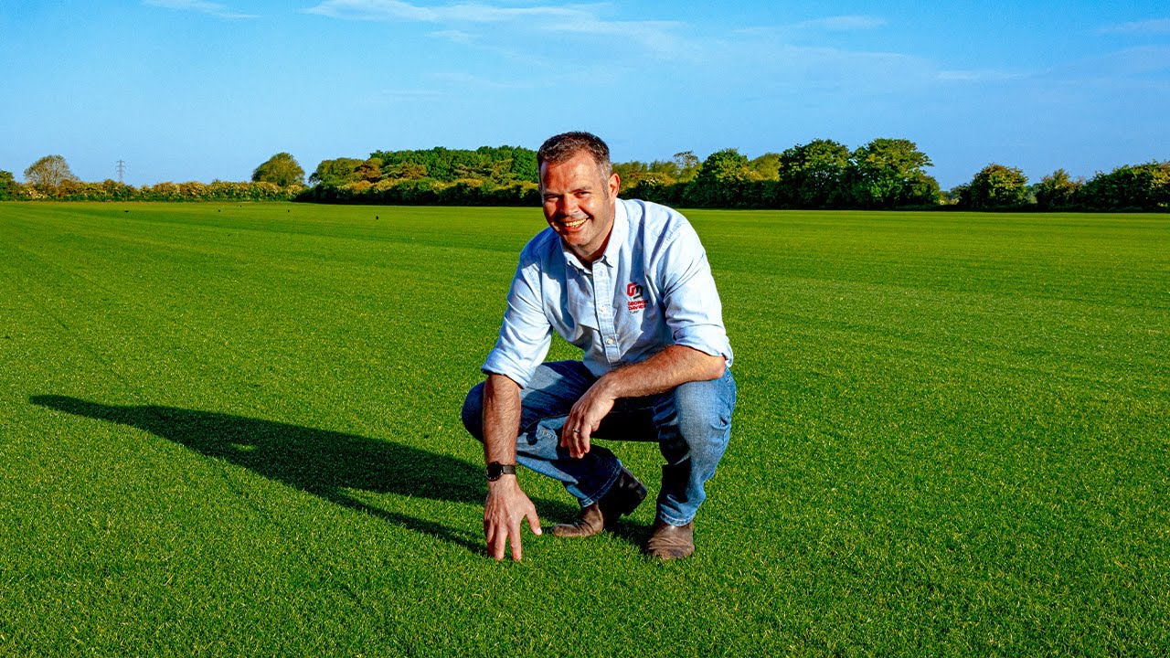A grower crouching on a field of cultivated turf